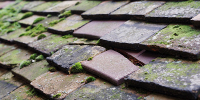 Llandeilo roof repair costs